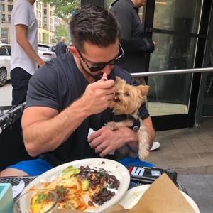 Meet your Posher, Donald